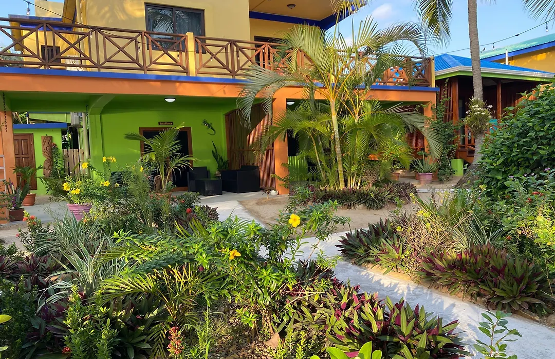 Coconut Row-1