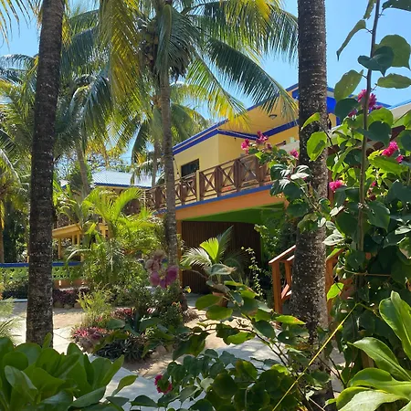 Coconut Row-2